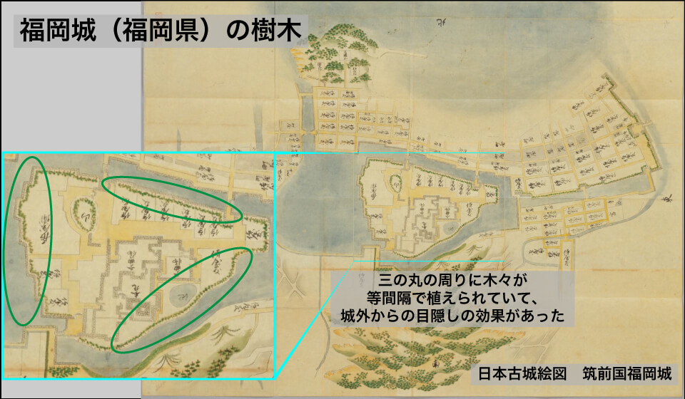 福岡城の樹木