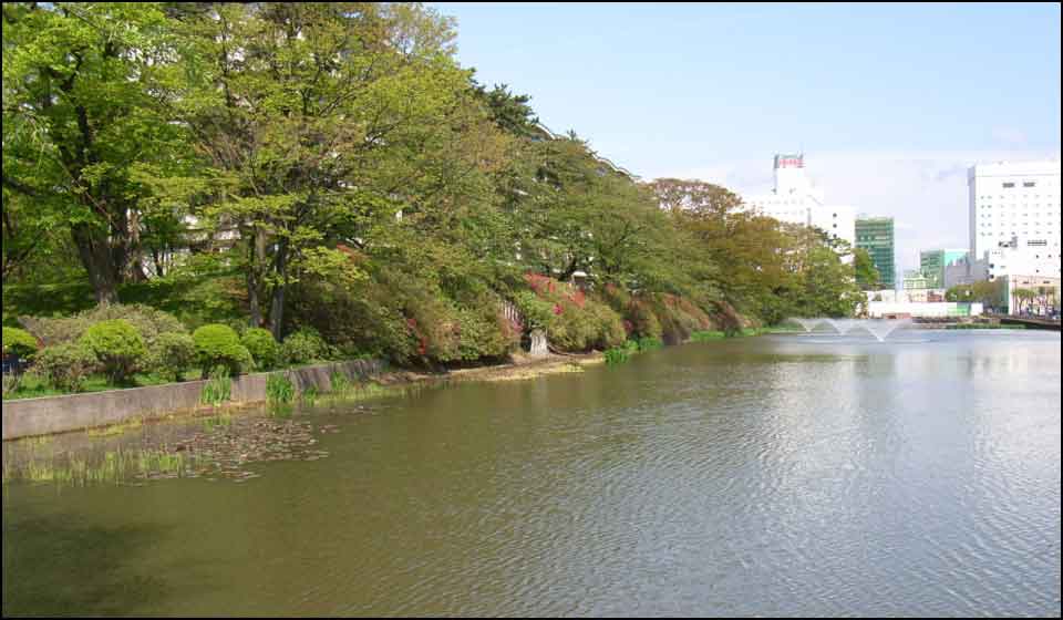 久保田城の水堀